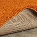 Cozy Shag Collection Orange Solid Shag Rug (3'3