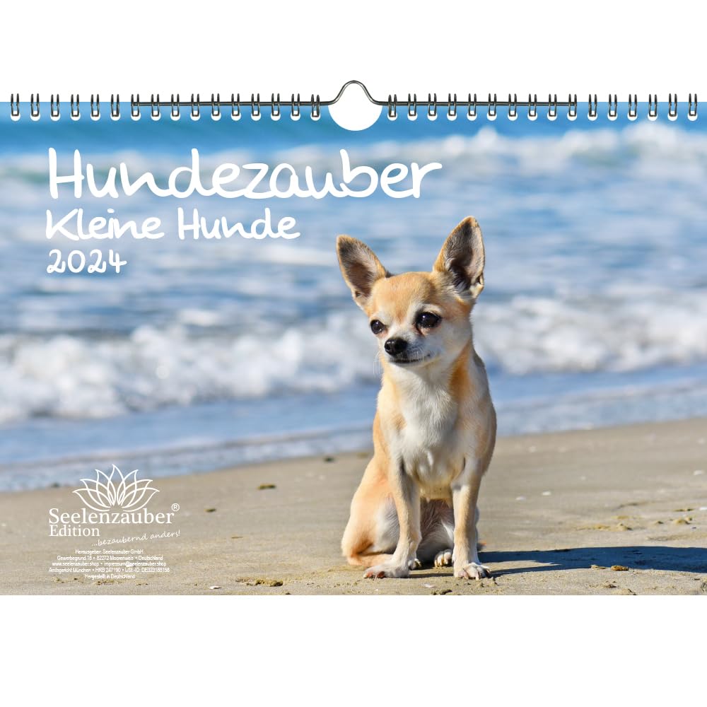 Hundezauber Small Dogs DIN A4 Calendar for 2024 Puppies and Small Dogs Seelenzauber