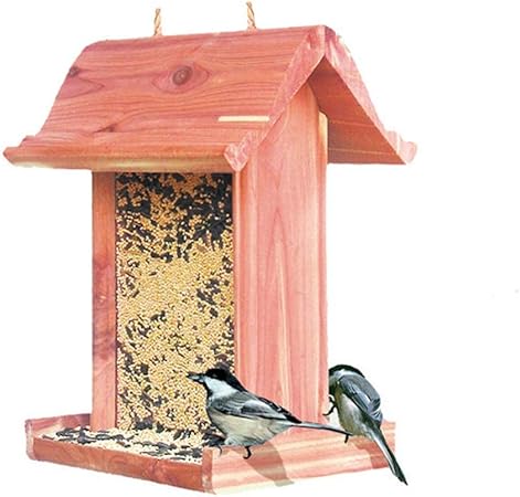 Amazon Com Yxsd Bird Feeder Outdoor Hanging Rainproof Field
