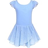Arshiner Girls Ruffle Sleeve Ballet Dance Dress Tutu Skirted Leotard