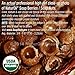 NaturOli ALTA - All Natural 100% Botanical Soap Berry Dish Soap Concentrate - Sulfate free! Gluten free! - Made in USA!