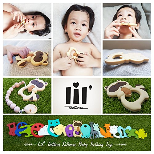 website template image