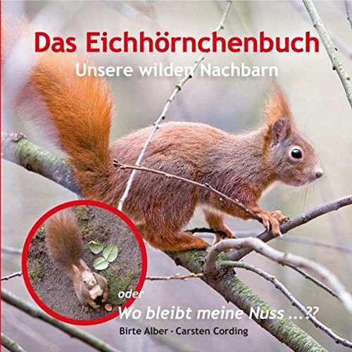 Das Eichhornchenbuch Unsere Wilden Nachbarn Oder Wo Bleibt Meine Nuss Amazon De Birte Alber Carsten Cording Bucher