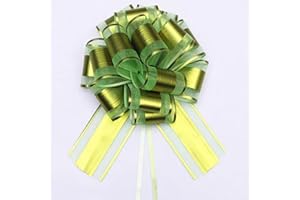 HQJAXJ 6 Pieces Large Pull Bows,Pull Bow for Gifts Wrapping Party Birthday Holiday Gift Boxes Bow Basket Packaging Bows for Valentine's Day Presents Flower Decorations (Fruit green)