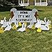 VictoryStore Yard Sign Outdoor Lawn Decorations: Birthday Yard Decoration, Honk It's My Birthday, with Stakes