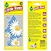 LITTLE TREES Air Fresheners Car Air Freshener. Hanging Tree Provides Long Lasting Scent for Auto or Home. Daisy Fields, 24 Air Fresheners