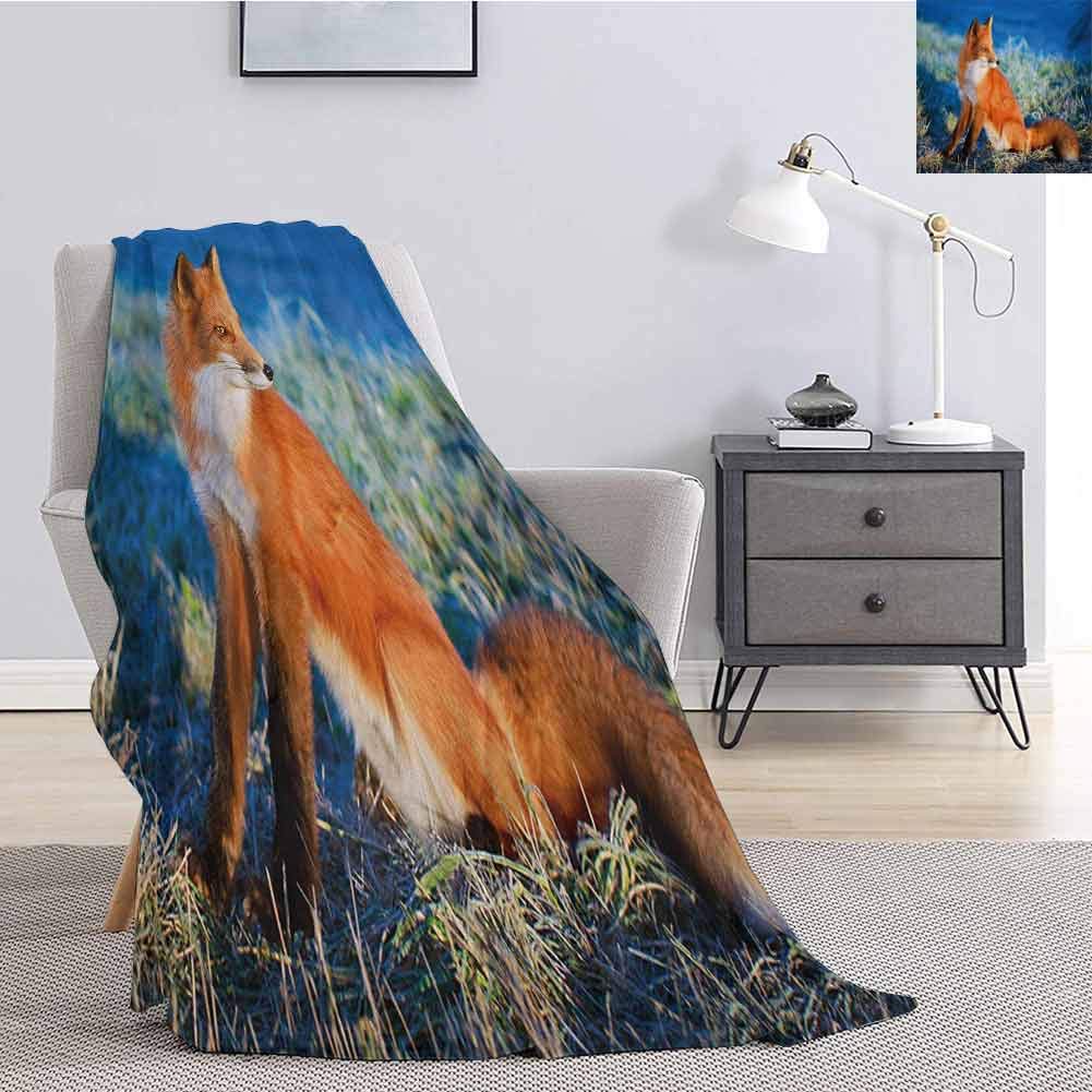 Luoiaax Fox Bedding Flannel Blanket Serene Autumn Field in Cold Morning with Fox Nature Scenery Grass Perspicacious Super Soft and Comfortable Luxury Bed Blanket W60 x L50 Inch Blue White Orange