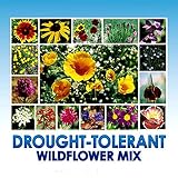 Drought Resistant Tolerant Wildflower Seeds - Bonus 8 eBook Gardening Series - Open-Pollinated Bulk Flower Seed Mix for Beautiful Perennial, Annual Garden Flowers - No Fillers - 1 oz Packet