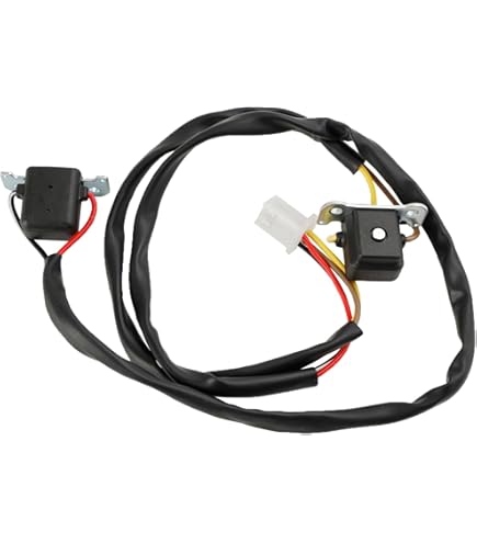Cylinman 21119-2157 CDI Igniter Ignition Box Fit for