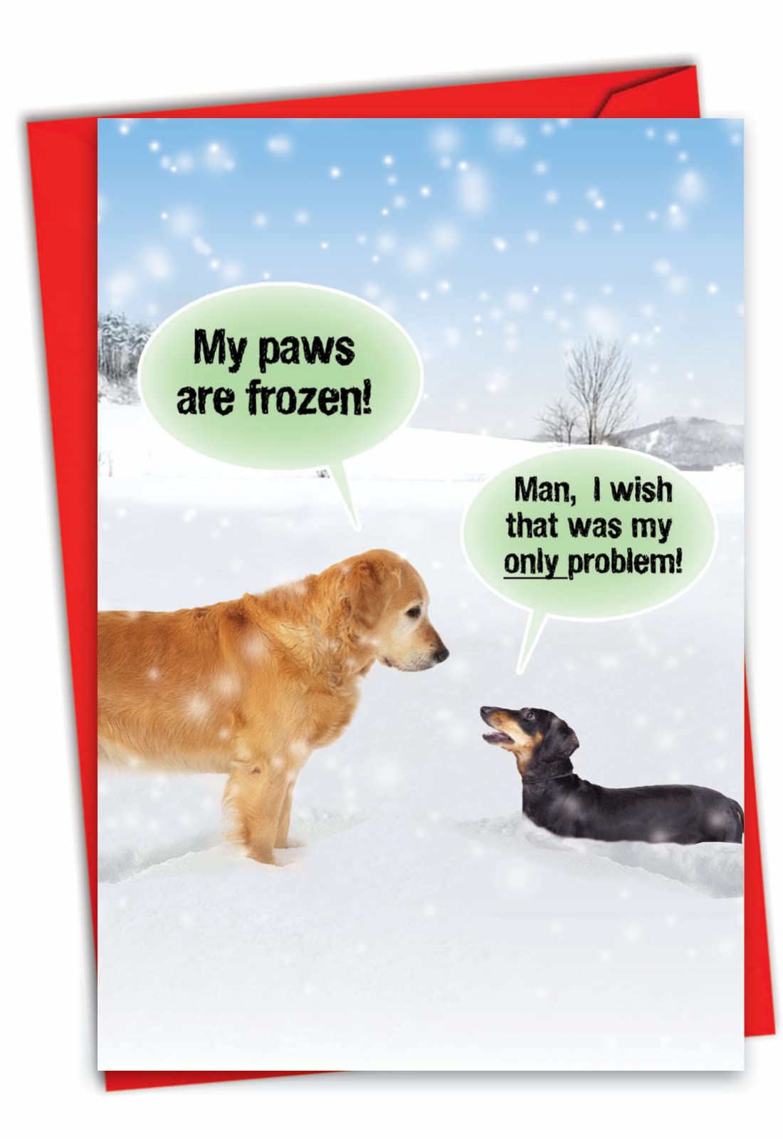 My Paws are Frozen - Funny Dog Christmas Note Card with Envelope (4.63 x 6.75 Inch) - Golden Retriever and Dachshund, Pet Animal Happy Holidays Stationery - Merry Xmas Joke Card 5953
