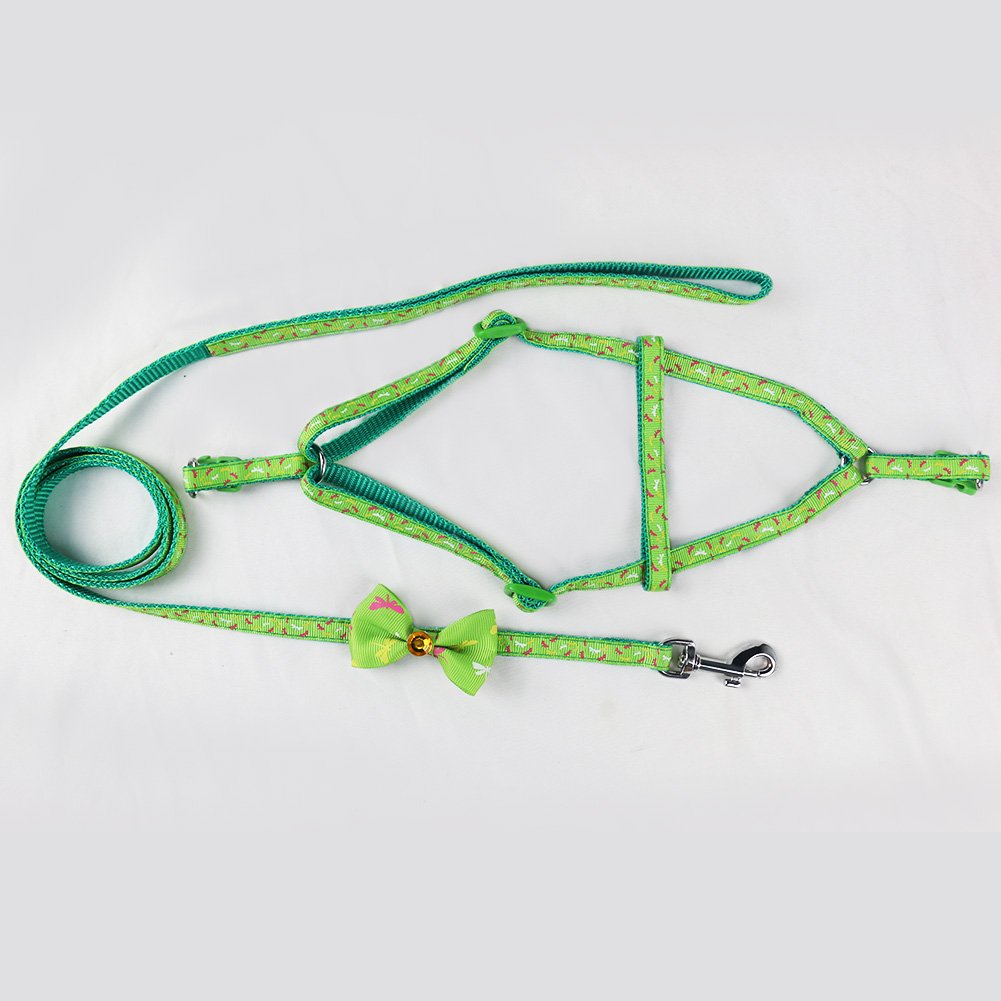 Pettorina Cane con Guinzaglio di Nylon, Durevole Regolabile Imbracatura per Cani, Guinzaglio per Portare il Cane a Passeggio, Verde