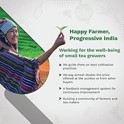 Iron Kettle Turmeric Ginger Green Tea | High Grown