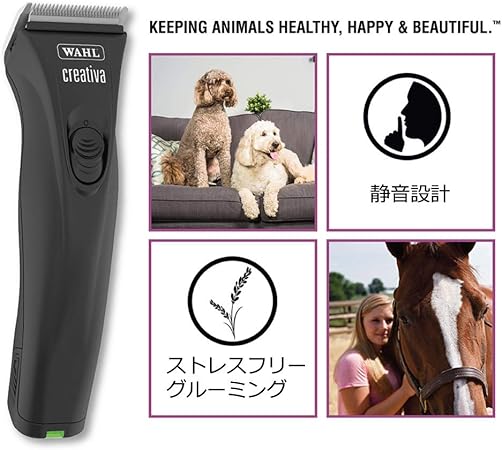 wahl creativa review