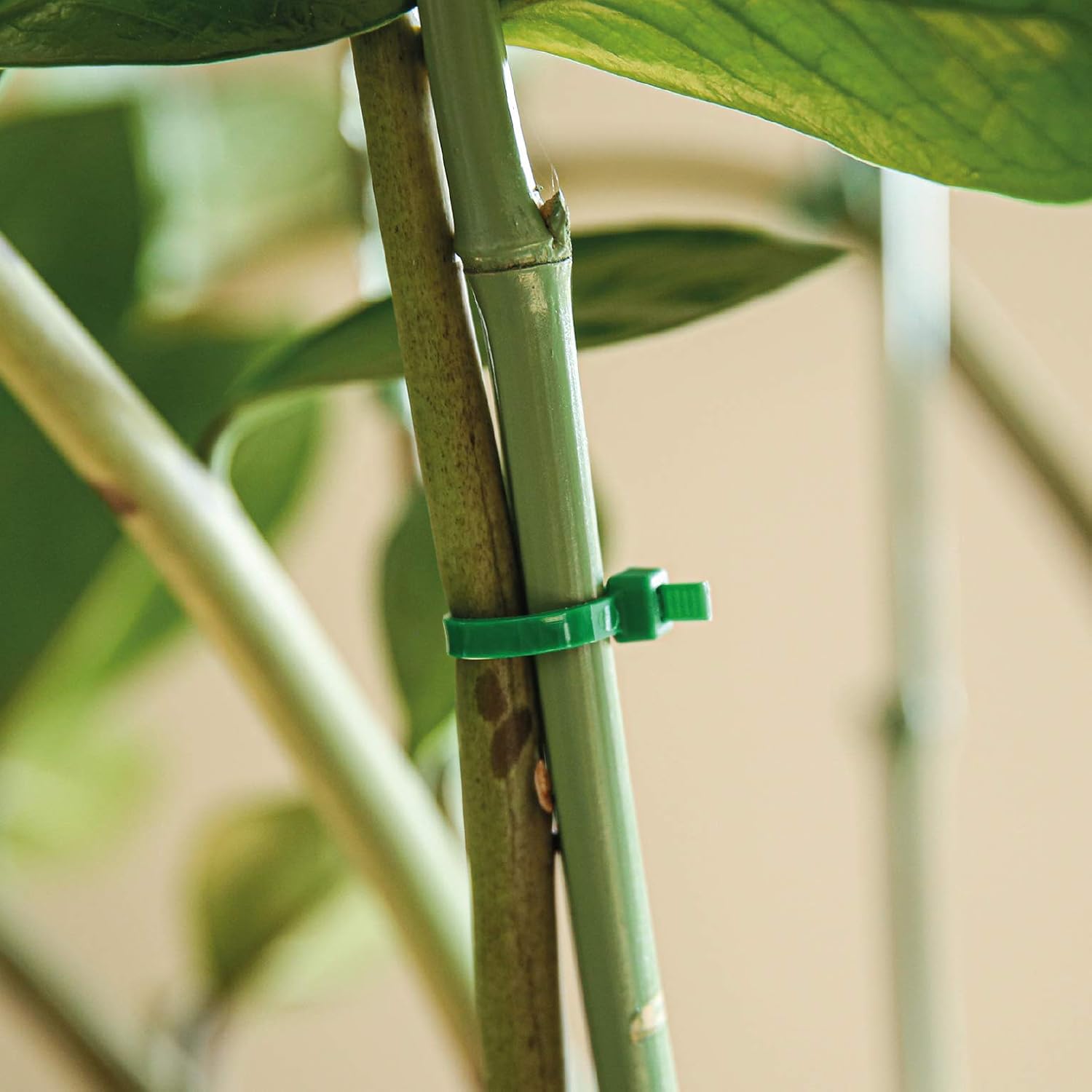 Valex Green Cable Ties, Dimensioni 300mm x4,5mm - Image 3