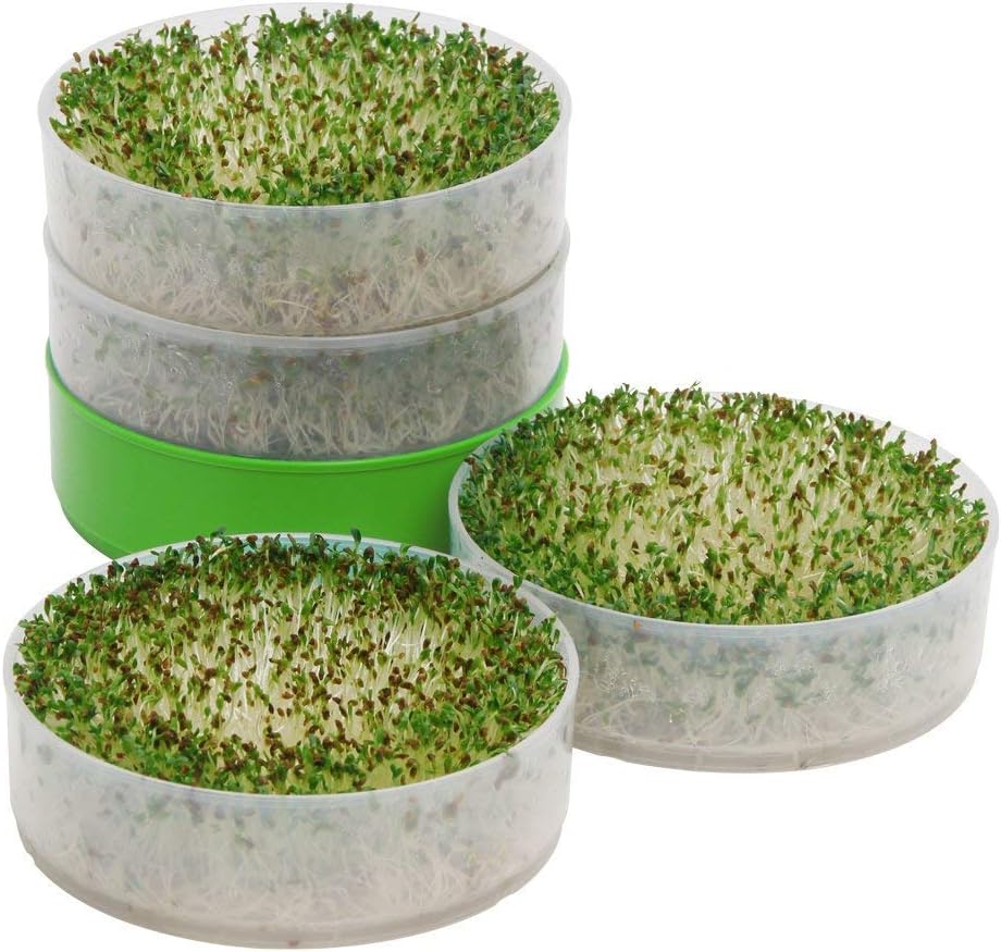 xlhai Kitchen Seed Germination Germination Fast Salad to Form 4 Trays