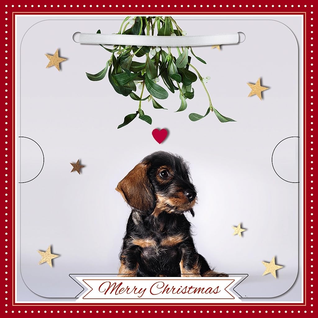 Carte Blanche Photographic 3D Lenticular Merry Christmas Single Greeting Card with Detachable Keepsake to Treasure - 6" x 6" (155 x 155mm) - Eco-Friendly (Dog with Mistletoe)
