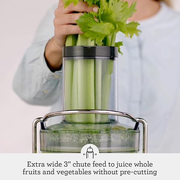 BREVILLE BJE430SIL JUICE FOUNTAIN COLD, 70 FL OZ, SILVER