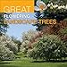 Great Flowering Landscape Trees by 