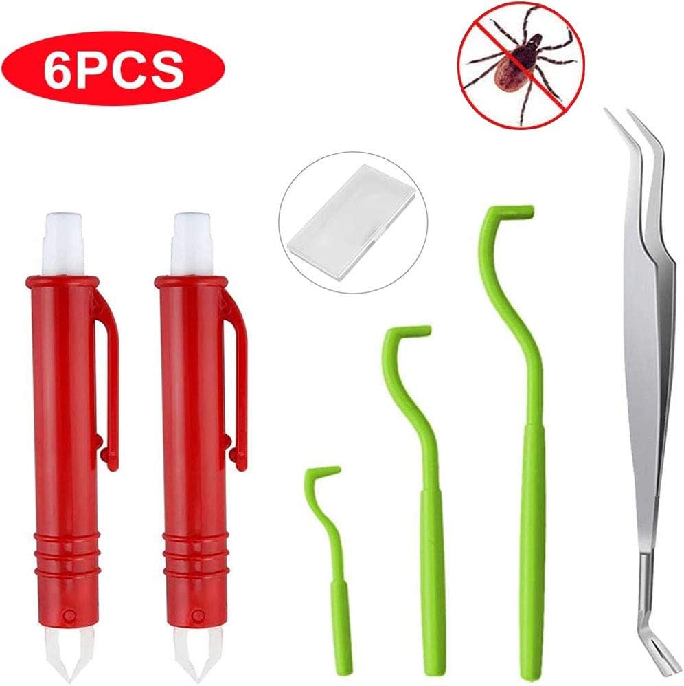 pettine per pidocchi