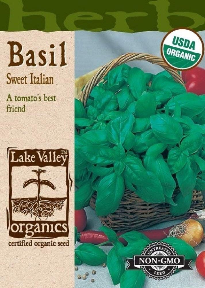 Homely Organic Sweet Italian Basil Seeds 750 Mg Bonsai Seeds