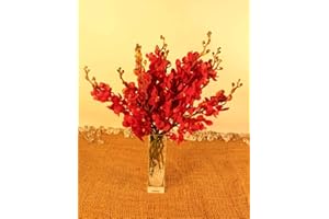 ATHENA'S GARDEN Fresh Deep Red Mokara Cut Orchids fresh From Nursery in an Assorted Vase with Rocks