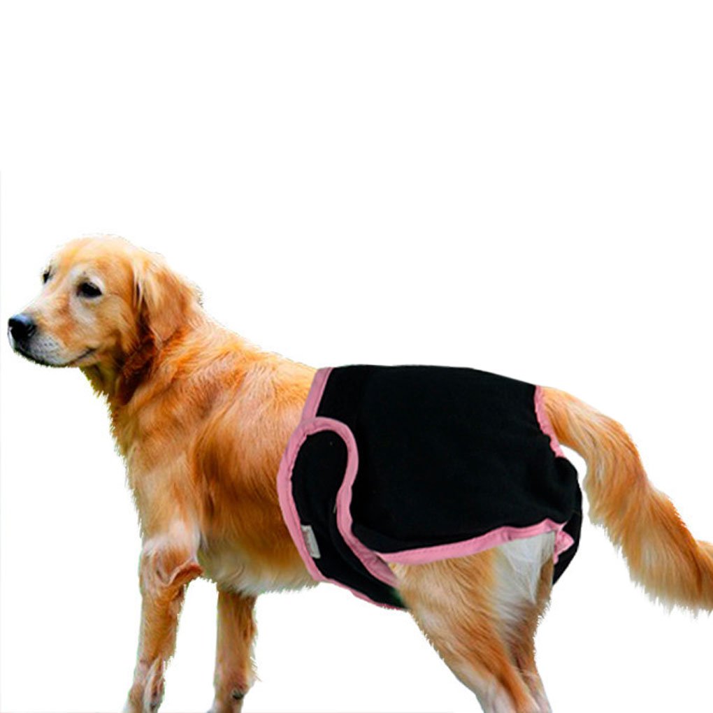 IPENNY Female Dog Diapers Pants Reusable Dog Sanitary Panties Comfortable Durable Pet Nappies M,L,XL