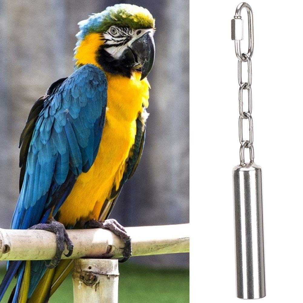 AMONIDA Bird Parrot Bell Toys, Squirrel Bells Stainless Steel Bells Toys for Birds Large Parrot African Greys Macaws (Small)