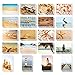 BEST PAPER GREETINGS 40-Count Beach Postcards - 4 x 6 in 250gsm Glossy Cardstock, Beige, Brown & Orange - 20 Assorted Nautical Seaside Designs - USPS Ready