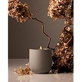 Homecourt Luxury Scented Candle, Cece Scent, 60-Hour Burn Time, Soy Wax Blend, Organic Cotton Wick, Kiln-Fired Reusable Ceramic Vessel, 8 Oz, 2.0