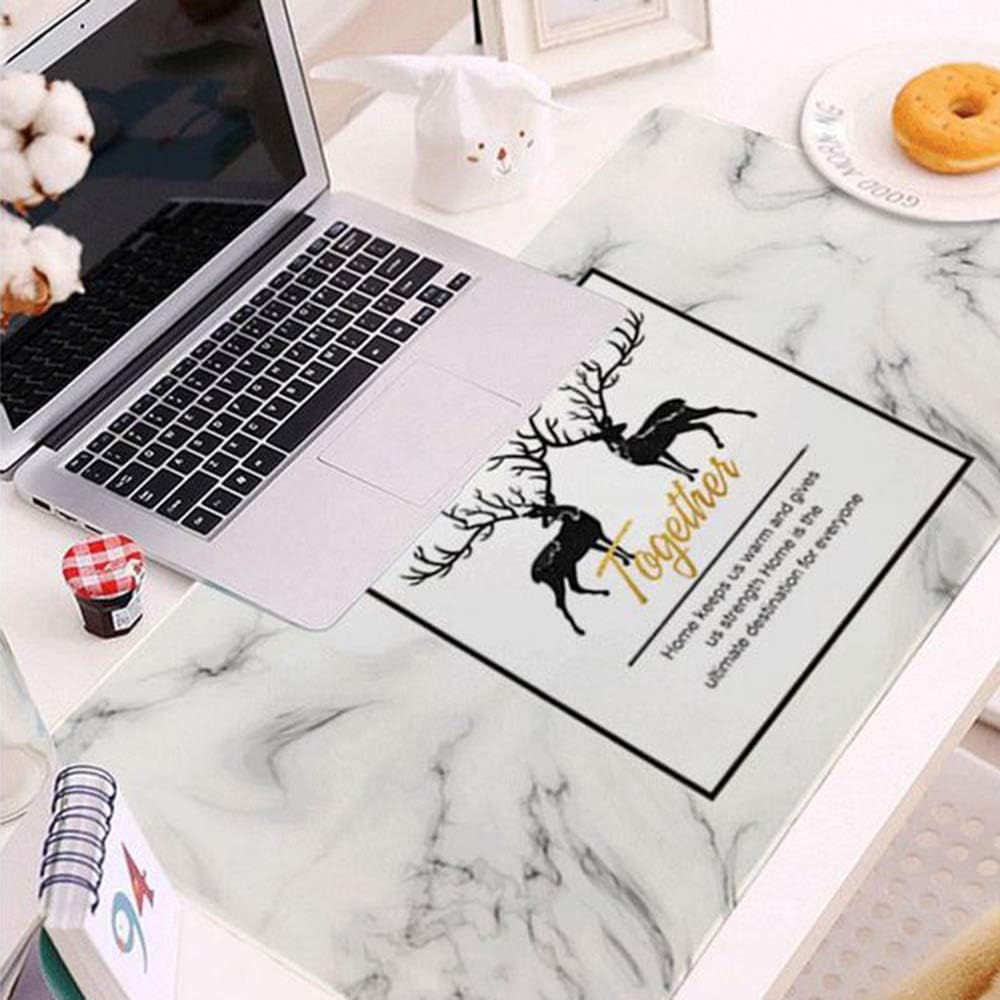 Theories of working memory image