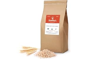 Soft White Wheat Berries Organically Grown in Michigan, Farmer Direct, USDA Organic Certified, Non-GMO, 25 Lbs Total // Findlay's Organics