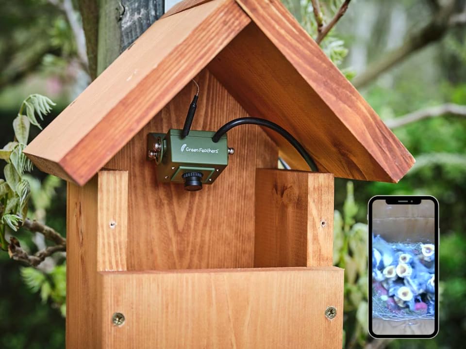 View 2
