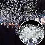 Autolizer 100 LED WHITE Fairy String Lights Lamp for Xmas Tree Holiday Wedding Party Decoration Halloween Showcase Displays Restaurant or Bar and Home Garden - Control up to 8 modes