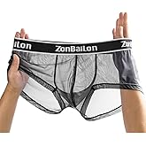 ZONBAILON Mens Sexy Underwear See Through Super Thin Breathable Mesh Boxer Briefs Stretchy M L XL 2XL 3XL