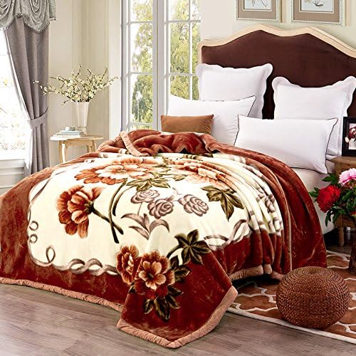 BDUK Raschel Blanket thickened the spring and autumn single double coral blanket double winter quilt blankets and students were ,180X220CM,A83 red and