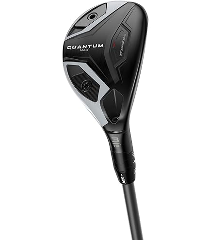 Amazon.com: WD LH QTM MAX 3FW DENFRSTSLV 60GRREG : Sports & Outdoors