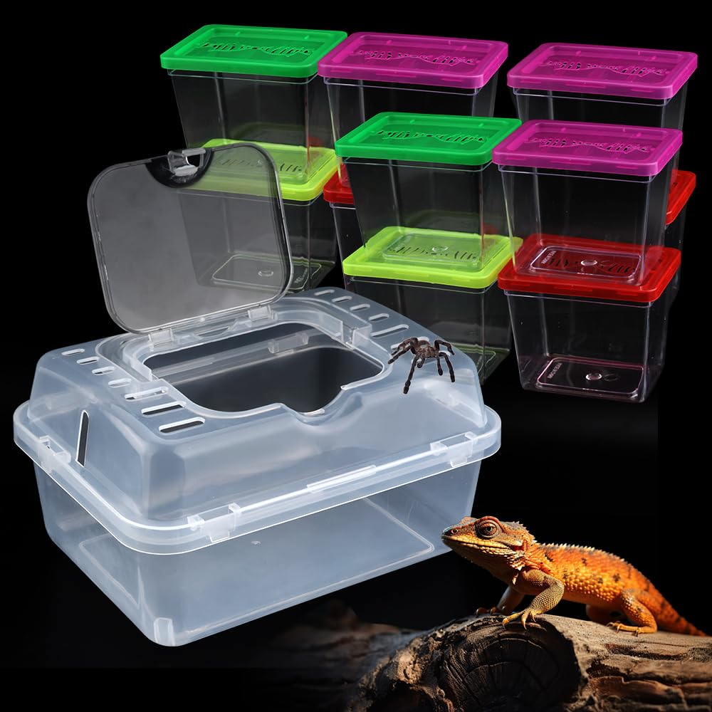 Photo 1 of 1 Pack Clear Portable Insect Reptile Terrarium Tank with Handle for Spider Snail Turtle Hermit Crab Gecko Insects Small Reptiles (with 10 Pack Small Plastic Reptile Carrier)