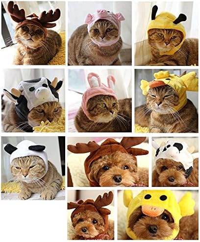 KOJIMA Design New Cute Funny Puppy Transfiguration Hat for Dog Puppy Cat Kitty Rabbit Small