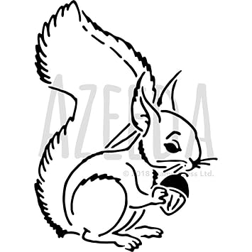 36 Eichhornchen Basteln Vorlage Besten Bilder Von Ausmalbilder