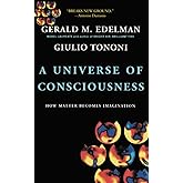 A Universe Of Consciousness: How Matter Becomes Imagination