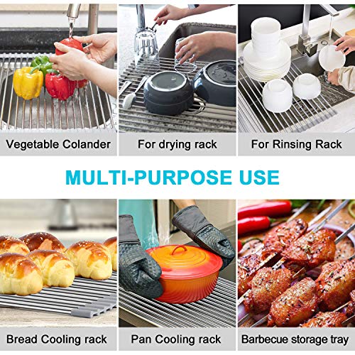 Dish Drying Rack 17.6