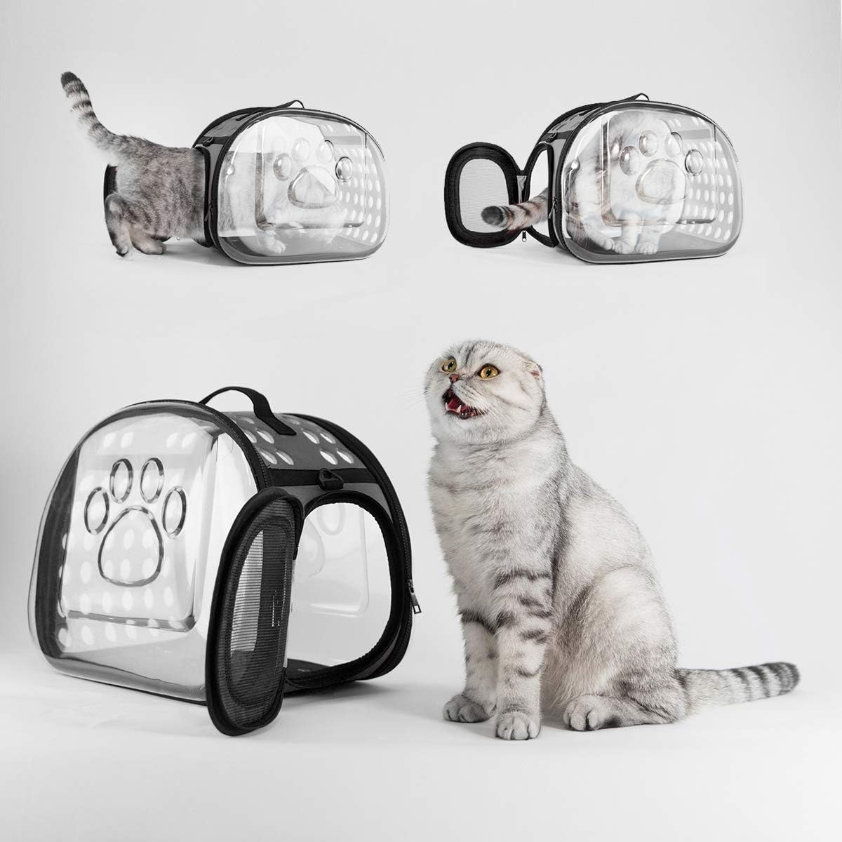 transparent bag for cat