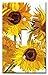 Art Plates - Van Gogh: Sunflowers Switch Plate - Single Toggle