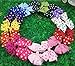 CÉLLOT 3 Inch Boutique Grosgrain Ribbon Pinwheel Hair Bows Alligator Clips For Girls Toddlers Accessories Teens Gifts In Pairs
