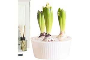 Hydroponic Flower Pots,3-Hole Hyacinth Planter - Hyacinth Bulb Plant Pot | for Gardeners Apartment Office Beginners Indoor Wi