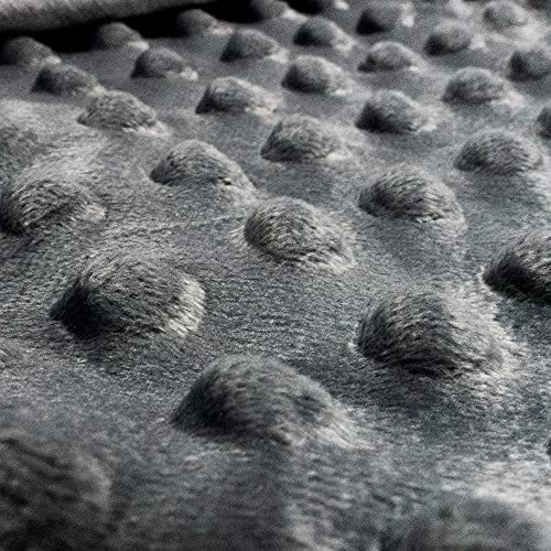 ALANSMA Reversible Weighted Blanket for All Season, Luxury Velvet, Warm