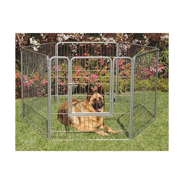 precision courtyard kennel