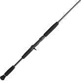 Penn Carnage III Inshore Casting Fishing Rod