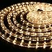 WYZworks 576LEDs, 50ft LED Warm White Rope Light, Connectable Outdoor Permanent Waterproof Accent Exterior Lighting, Flexible Clear PVC, ETL Certified, Holiday, Backyard Patio, Home, Décor