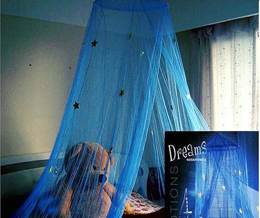boy canopy bed